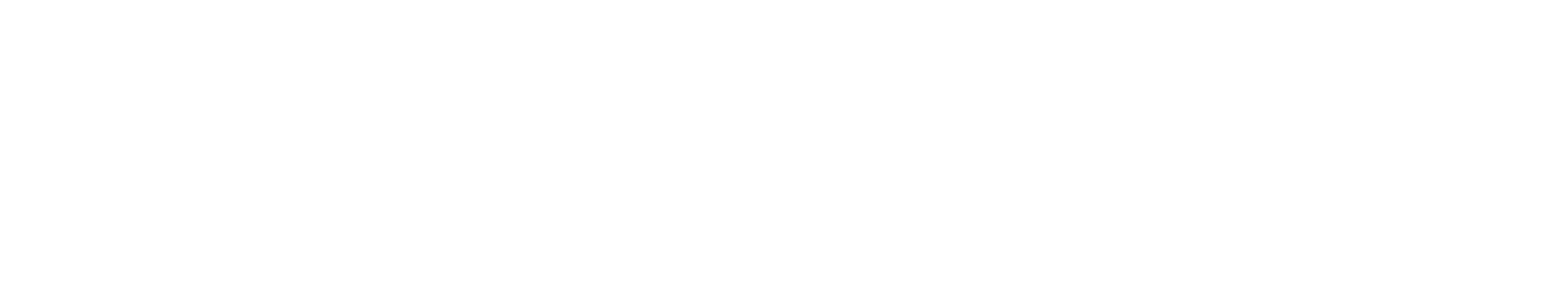 Metix AI